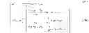 Fig. 41 - Method for determining an active dopant concentration profile