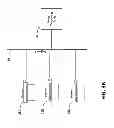 Fig. 07 - IMAGE SCANNING AND PROCESSING SYSTEM