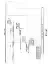 Fig. 14 - Multi-homed mobile relay