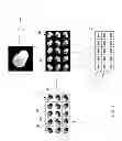 Fig. 03 - Assay image acquisition system and method