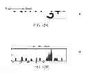Fig. 09 - Lower modifier detection and extraction from devanagari text images to improve OCR performance