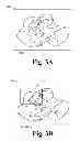 Fig. 04 - Tagging images with labels