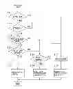 Fig. 01 - Image forming apparatus