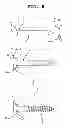 Fig. 09 - Wood screw