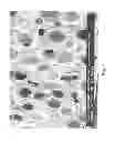 Fig. 02 - Metal-bonded graphite foam composites