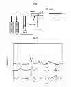 Fig. 02 - Catalysts reforming methane gases into hydrogen and methods for synthesizing the same, and methods for reforming methane gases using said catalysts