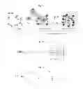 Fig. 02 - Self-assembed conjugate and use thereof