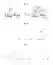 Fig. 03 - Self-assembed conjugate and use thereof