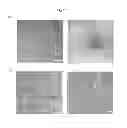 Fig. 07 - Self-assembed conjugate and use thereof