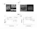 Fig. 11 - Self-assembed conjugate and use thereof