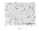 Fig. 22 - MICELLULAR COMBINATION COMPRISING A NANOPARTICLE AND A PLURALITY OF SURFMER LIGANDS