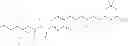 Fig. 20 - COSMETIC COMPOSITION COMPRISING A POLYSILOXANE AND A POLYMER BOTH BEARING A HYDROGEN-BOND-GENERATING JOINING GROUP, AND COSMETIC TREATMENT PROCESS