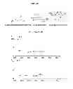 Fig. 02 - Conjugates comprising an -oxime bond and associated methods