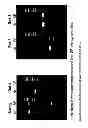 Fig. 07 - MULTIPOTENT STEM CELLS AND USES THEREOF