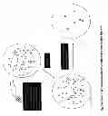 Fig. 22 - MULTIPOTENT STEM CELLS AND USES THEREOF