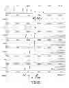 Fig. 49 - Microorganisms genetically engineered to have modified N-glycosylation activity