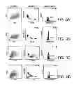 Fig. 04 - ANTI-ERBB2 ANTIBODIES