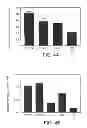 Fig. 05 - ANTI-ERBB2 ANTIBODIES