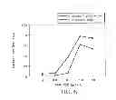 Fig. 07 - ANTI-ERBB2 ANTIBODIES