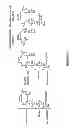 Fig. 05 - Modulators of hyphal morphogenesis and uses thereof