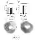 Fig. 02 - Compositions and methods for modulating cardiac conditions