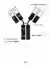 Fig. 02 - RNA-CODED ANTIBODY