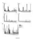 Fig. 07 - Human antibodies and uses therefor