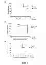 Fig. 04 - Improving trabeculectomy outcome by administering an anti-placental growth factor antibody