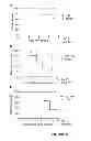 Fig. 06 - Improving trabeculectomy outcome by administering an anti-placental growth factor antibody