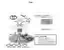 Fig. 02 - Identification of T cell target antigens