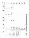Fig. 02 - SSX-2 PEPTIDE ANALOGS