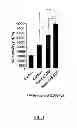 Fig. 02 - Composition Comprising SOD, Lutein and Zeaxanthin