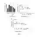 Fig. 06 - Composition Comprising SOD, Lutein and Zeaxanthin