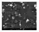 Fig. 01 - Particles of tetracyclines and protecting agent