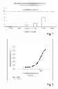 Fig. 02 - ANTI-INFLAMMATORY AND ANTIOXIDANT COMPOSITION AND RELATED METHOD OF USE