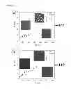 Fig. 02 - Micropattern generation with pulsed laser diffraction
