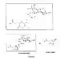 Fig. 02 - Modulators of hyphal morphogenesis and uses thereof