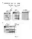 Fig. 03 - Method of producing dicer