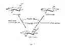 Fig. 02 - Method for producing scyllo-inositol