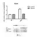 Fig. 07 - Boronate-mediated delivery of molecules into cells