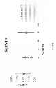 Fig. 35 - CARDIOMYOCYTE PRODUCTION