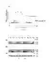 Fig. 04 - Method of producing liquid crystal display device