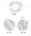 Fig. 09 - CONDITIONING A PAD IN A CLEANING MODULE