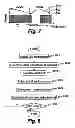 Fig. 05 - Method and apparatus of communications