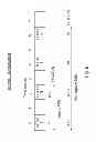 Fig. 09 - Common control channel access