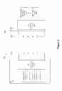 Fig. 03 - Coordinated multipoint configuration based on channel state information reference signals