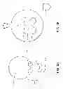 Fig. 08 - Baseball holder for a batting tee