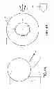 Fig. 09 - Baseball holder for a batting tee