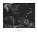 Fig. 02 - COLLOIDAL PHOTO-CATALYTIC COMPOSITION