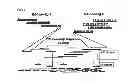 Fig. 03 - NOVEL GENOME SEQUENCING STRATEGIES